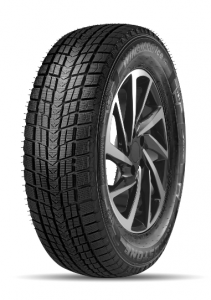 Roadstone WINGUARD ICE SUV